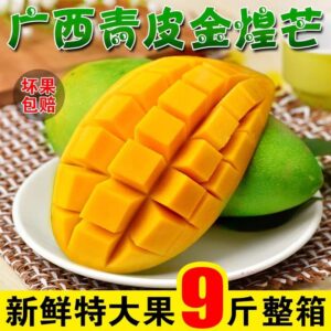 百色金煌芒 树上熟 净重5斤装