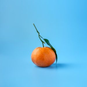 贺州蜜橘 薄皮化渣 净重5斤