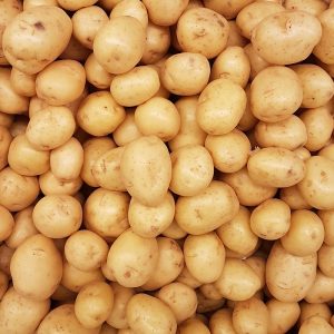 荔浦马蹄 甜脆 净重5斤