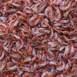 北部湾虾干 特级 200g