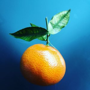 桂林砂糖橘 薄皮化渣 净重5斤