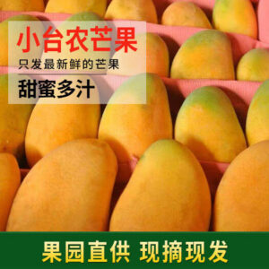 百色小台芒 现摘现发 净重5斤装