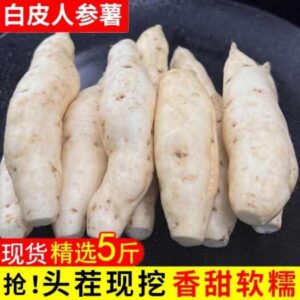 浦北县红薯 精选优品 净重5斤