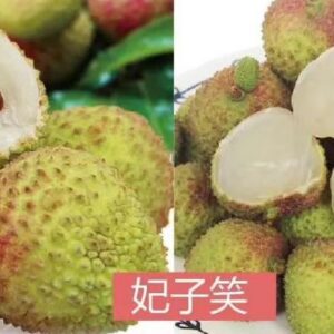 灵山县妃子笑荔枝 当季新货 3斤